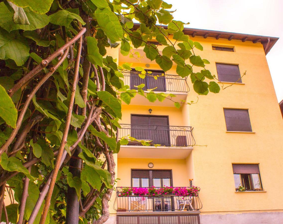 Pergolato Alpino P.Terra Teglio Exterior foto
